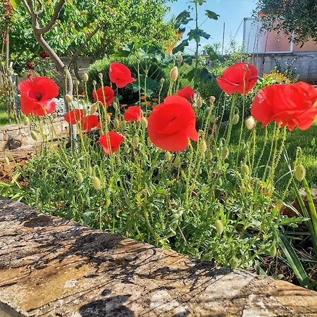 Apartamento House Lea *