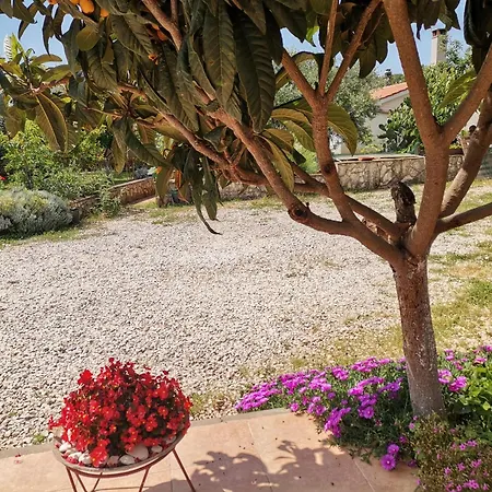 House Lea Apartman Pula