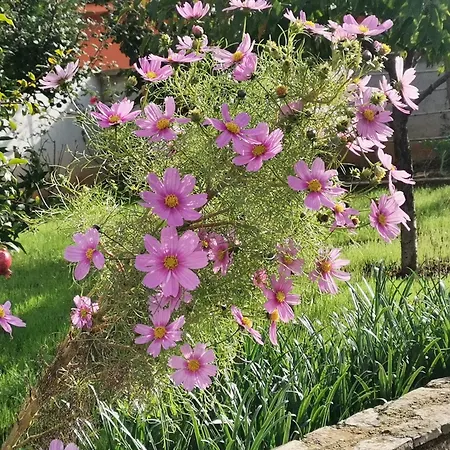 House Lea Apartamento *