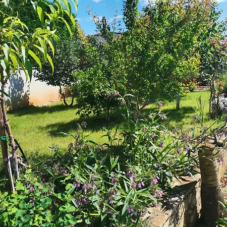 House Lea Apartament Pula