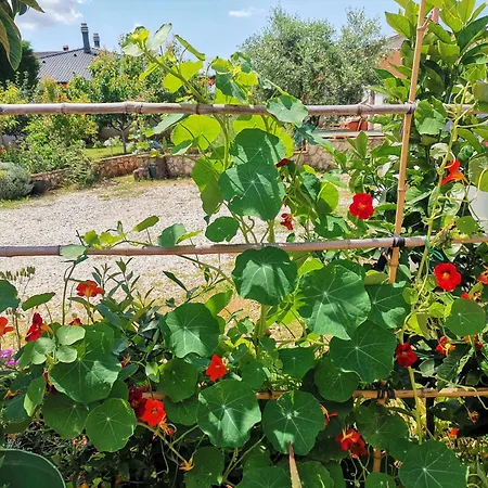 House Lea Apartament