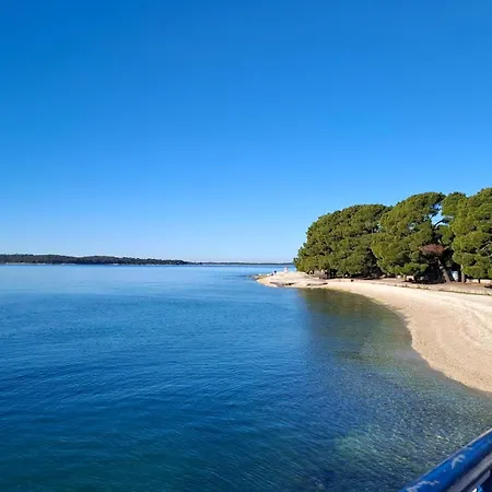 Romantic Apartment Flower Apartment