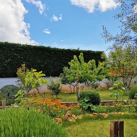 Apartment Romantic Apartment Flower Pula