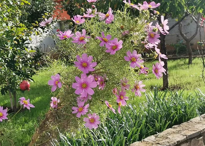 Romantic Apartment Flower Apartment *