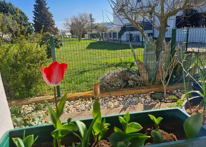 Apartment Romantic Apartment Flower *