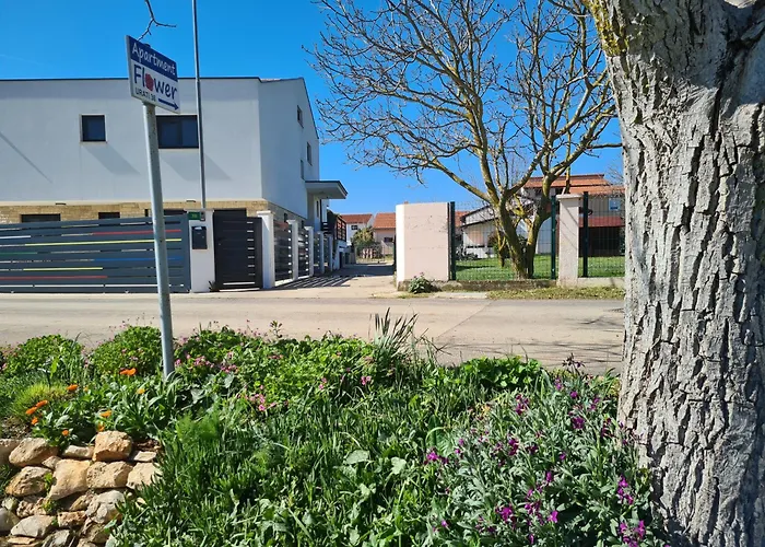 Romantic Apartment Flower Apartment