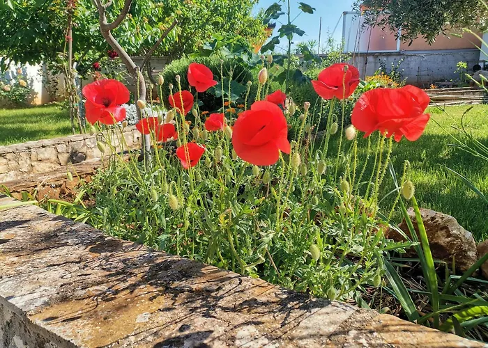 Apartment Romantic Apartment Flower *