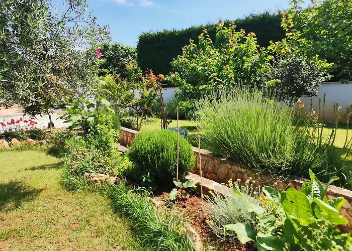 Romantic Apartment Flower *