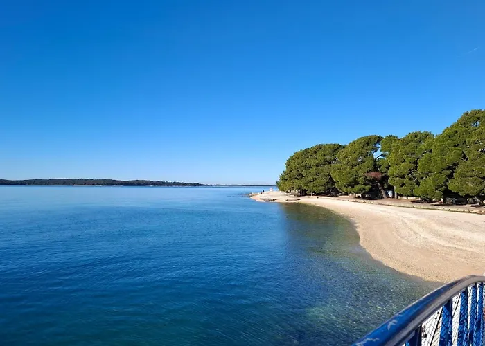 Romantic Apartment Flower Apartment