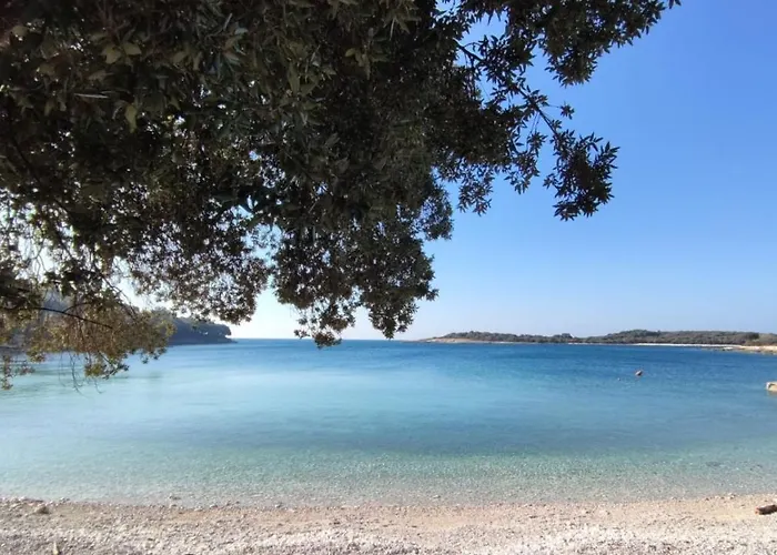 Apartment Romantic Apartment Flower *